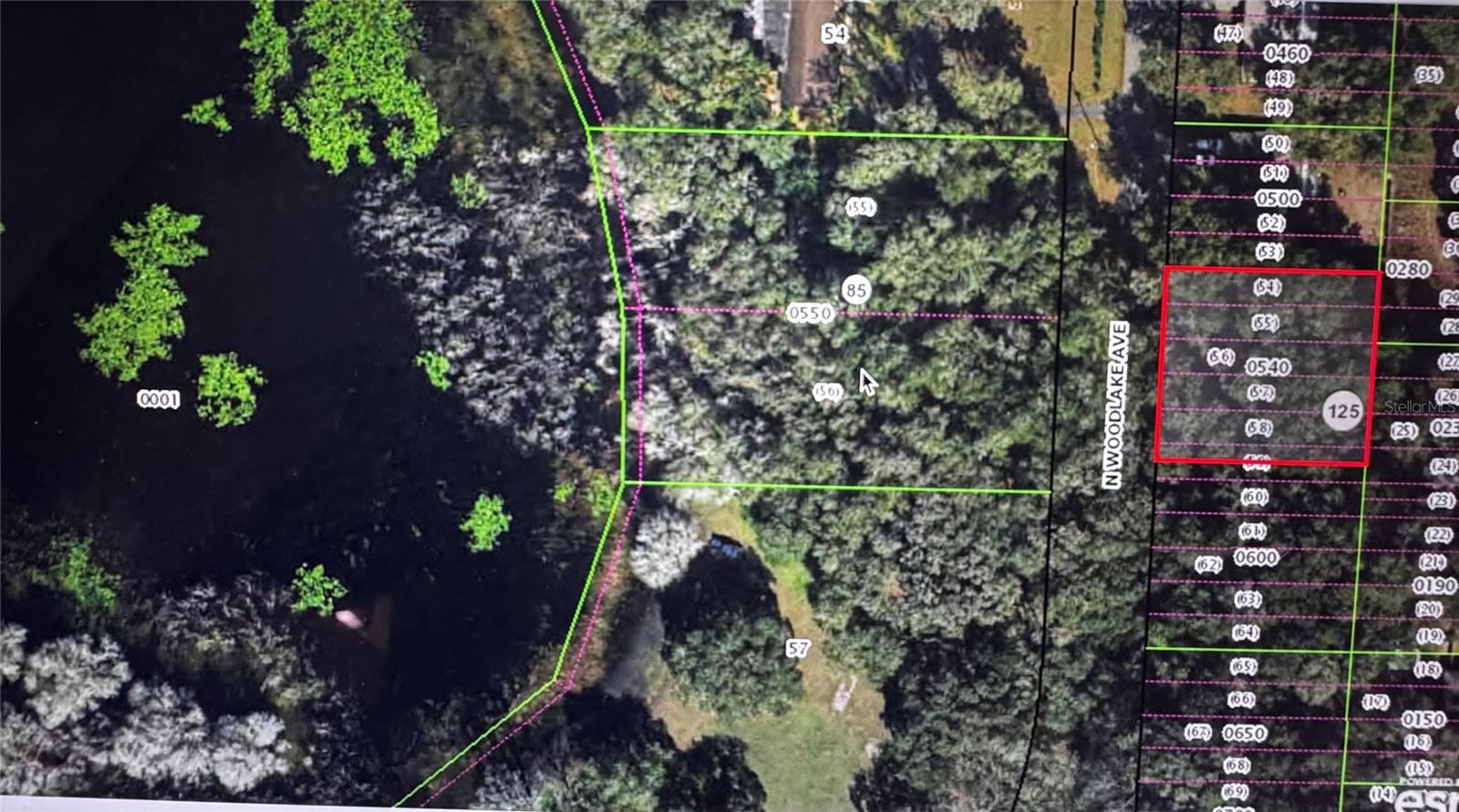 533 N WOODLAKE AVE, INVERNESS, FL, 34453