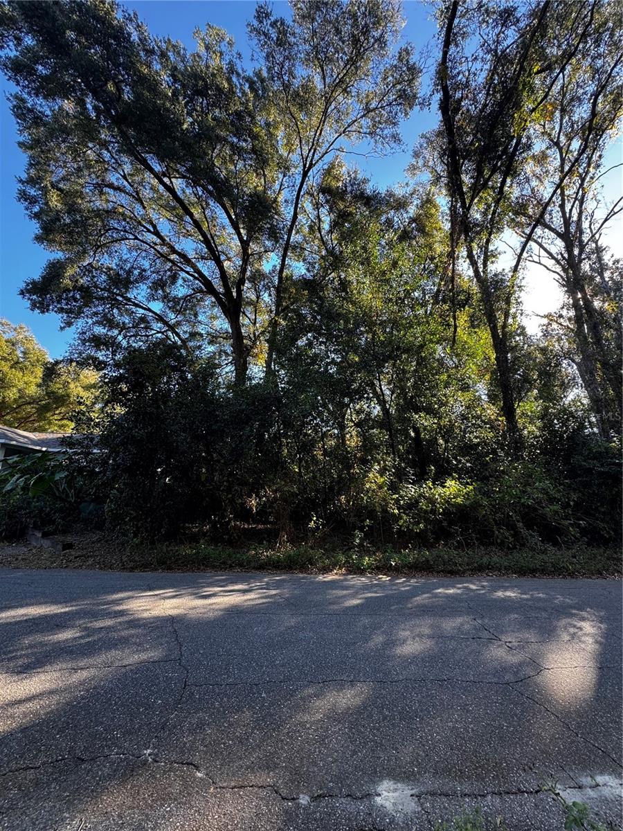 533 N WOODLAKE AVE, INVERNESS, FL, 34453