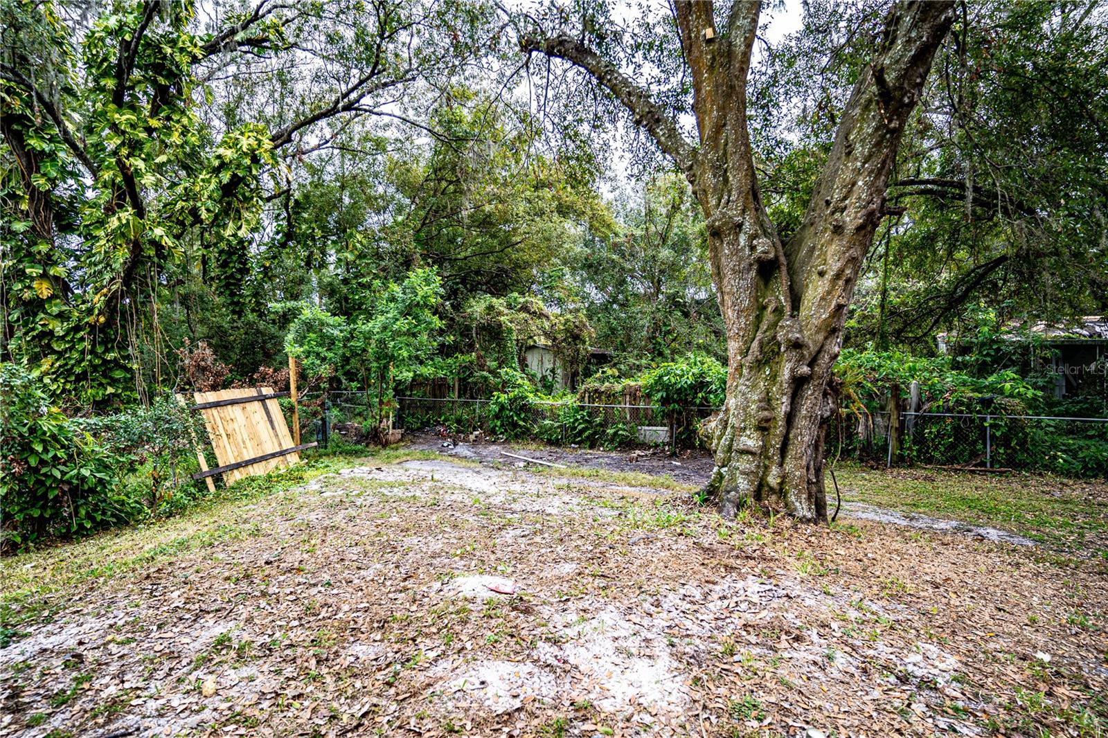 2419 TRENTON RD E, LAKELAND, FL, 33815