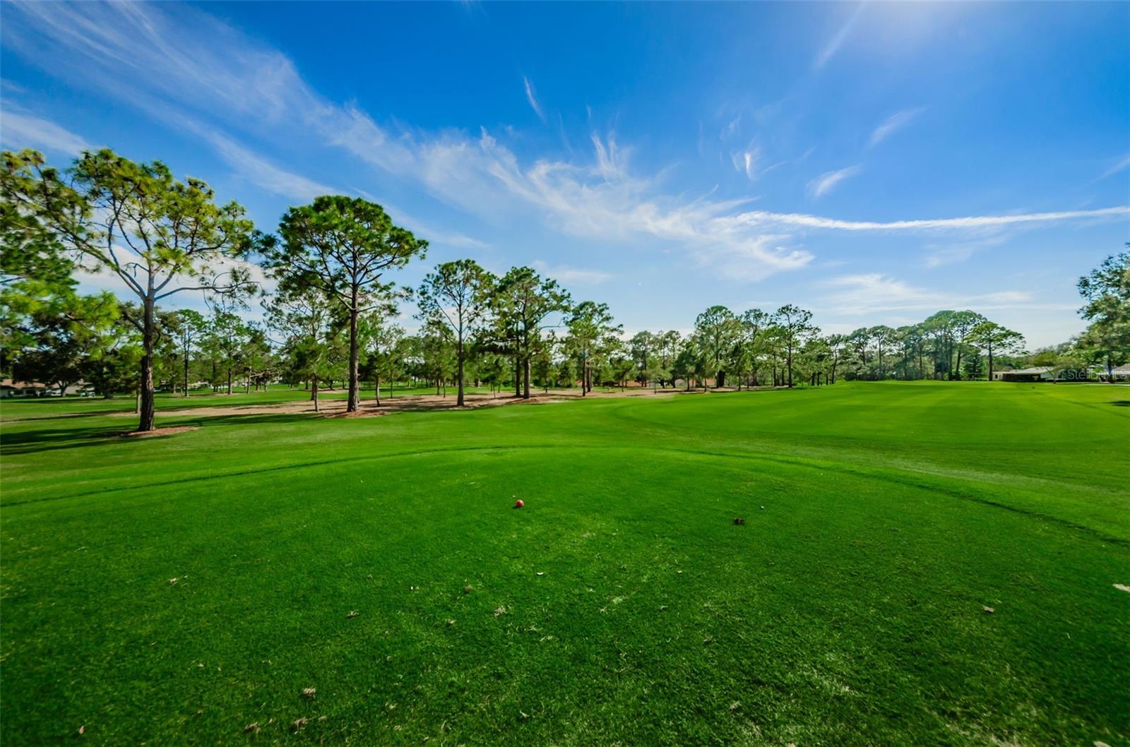 1575 WICKLOW DR, PALM HARBOR, FL, 34684