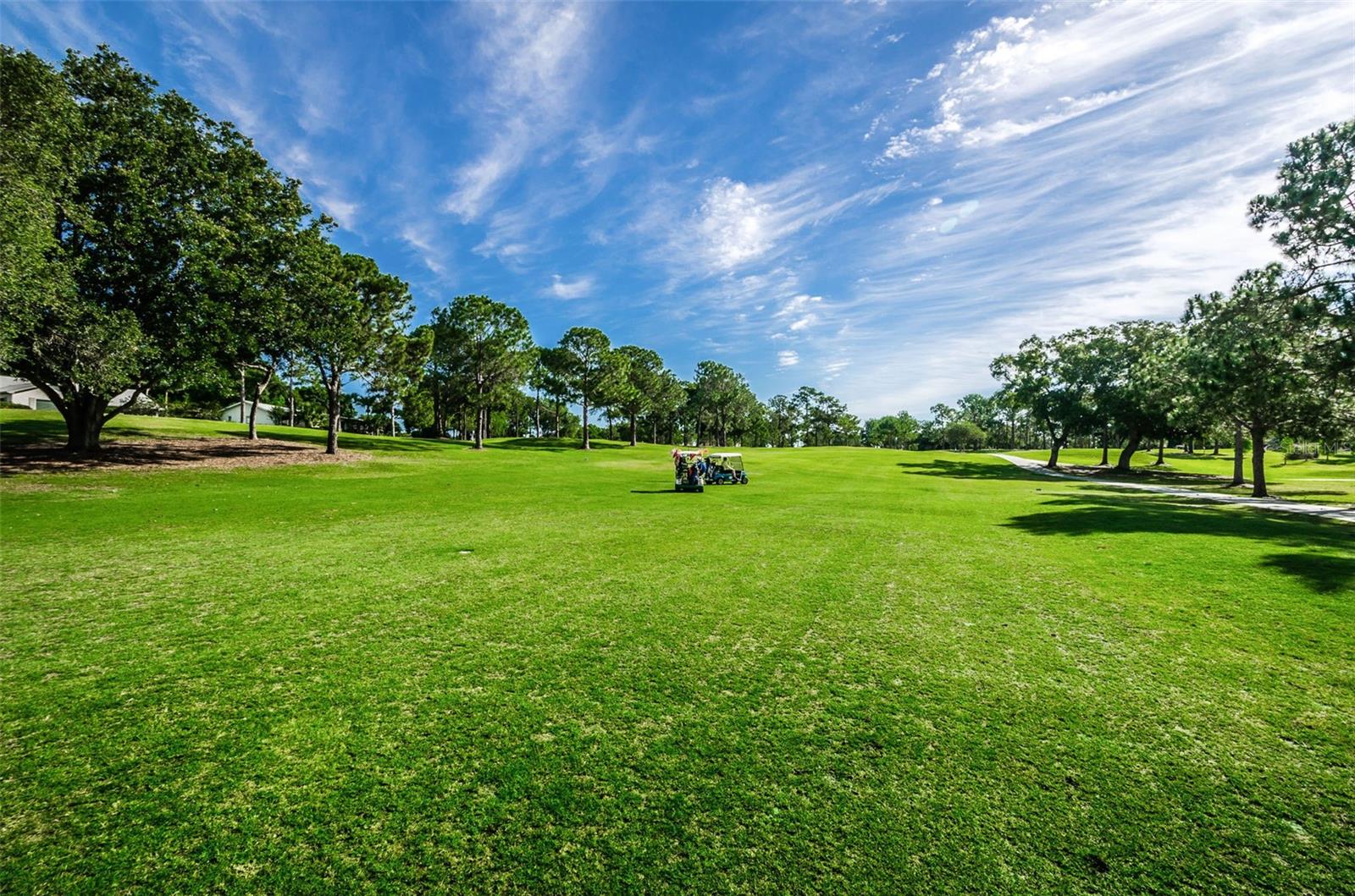 1575 WICKLOW DR, PALM HARBOR, FL, 34684