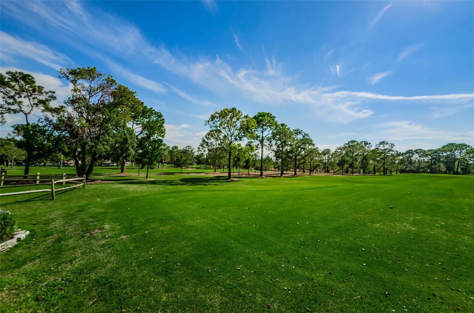 1575 WICKLOW DR, PALM HARBOR, FL, 34684