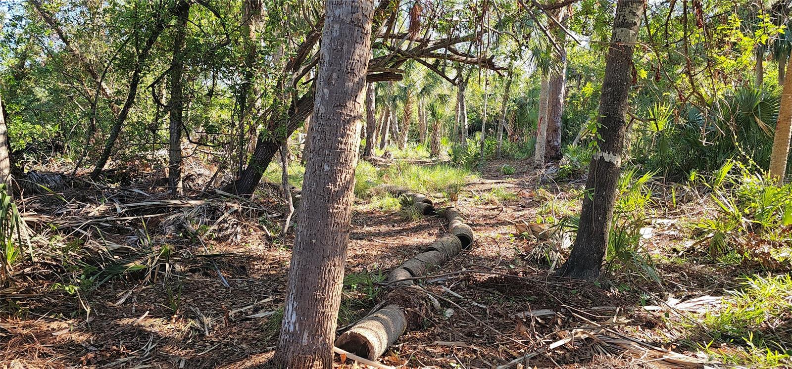 6394 MCKINLEY TER, ENGLEWOOD, FL, 34224