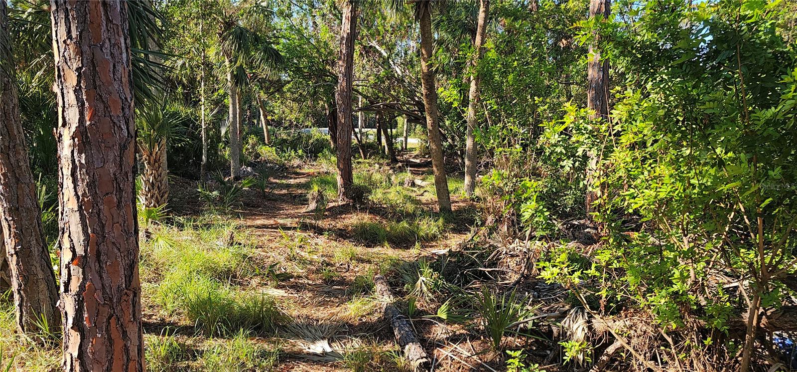 6394 MCKINLEY TER, ENGLEWOOD, FL, 34224