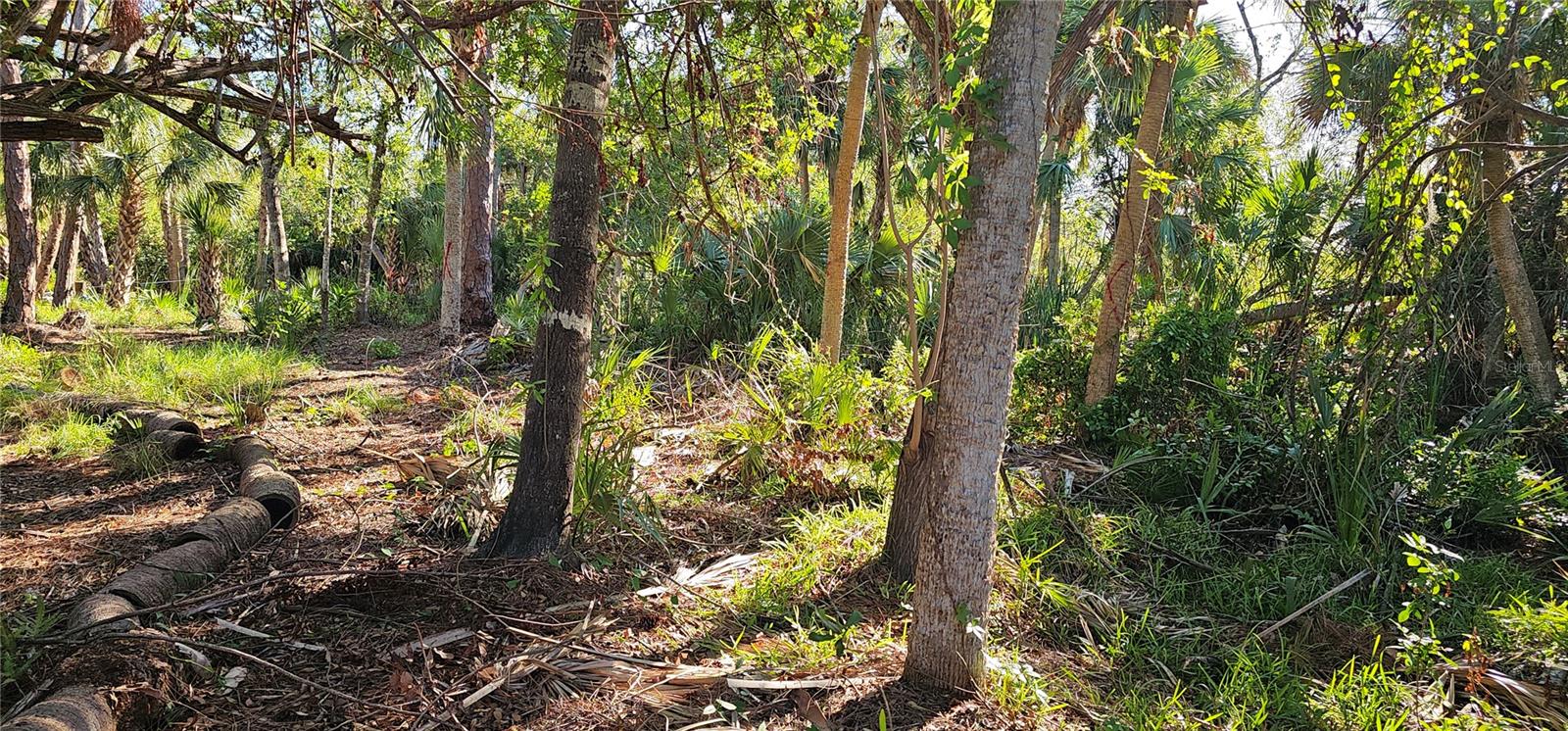 6394 MCKINLEY TER, ENGLEWOOD, FL, 34224