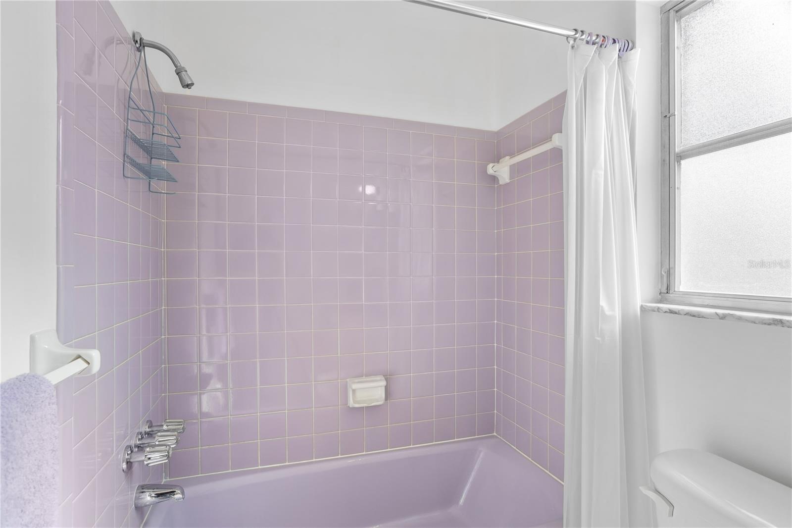8607 RUTH PL, TAMPA, FL, 33604
