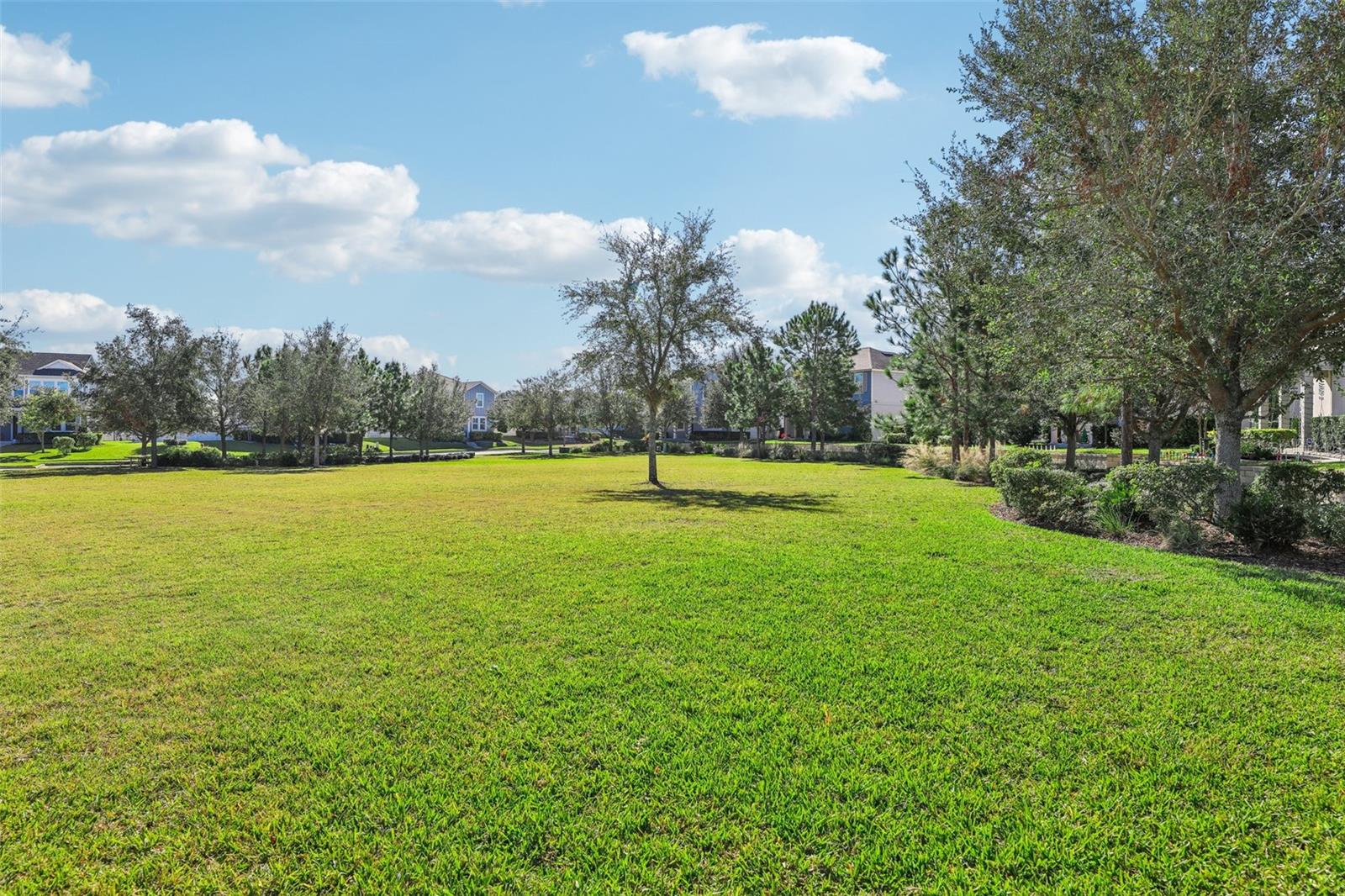 6719 MARMALADE ALY, WINTER GARDEN, FL, 34787