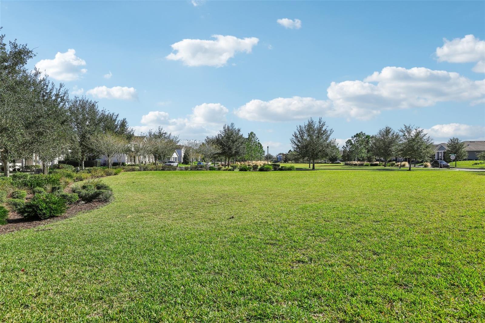 6719 MARMALADE ALY, WINTER GARDEN, FL, 34787