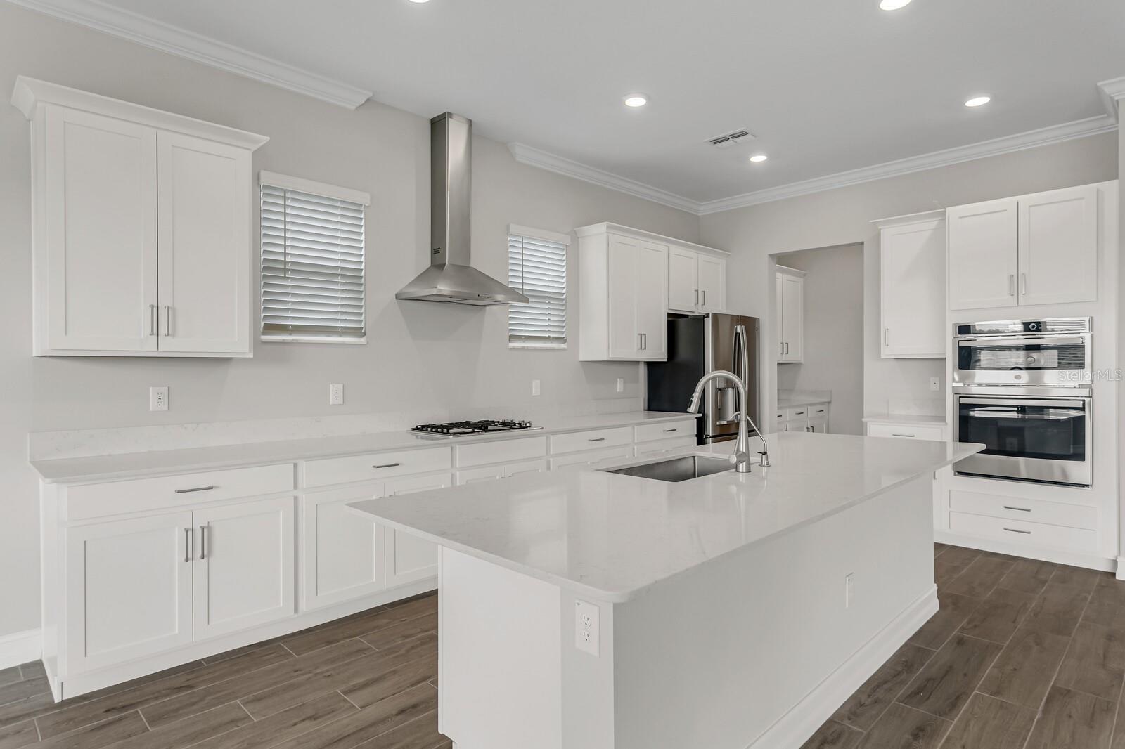21518 SNOWY ORCHID TER, LAND O LAKES, FL, 34637