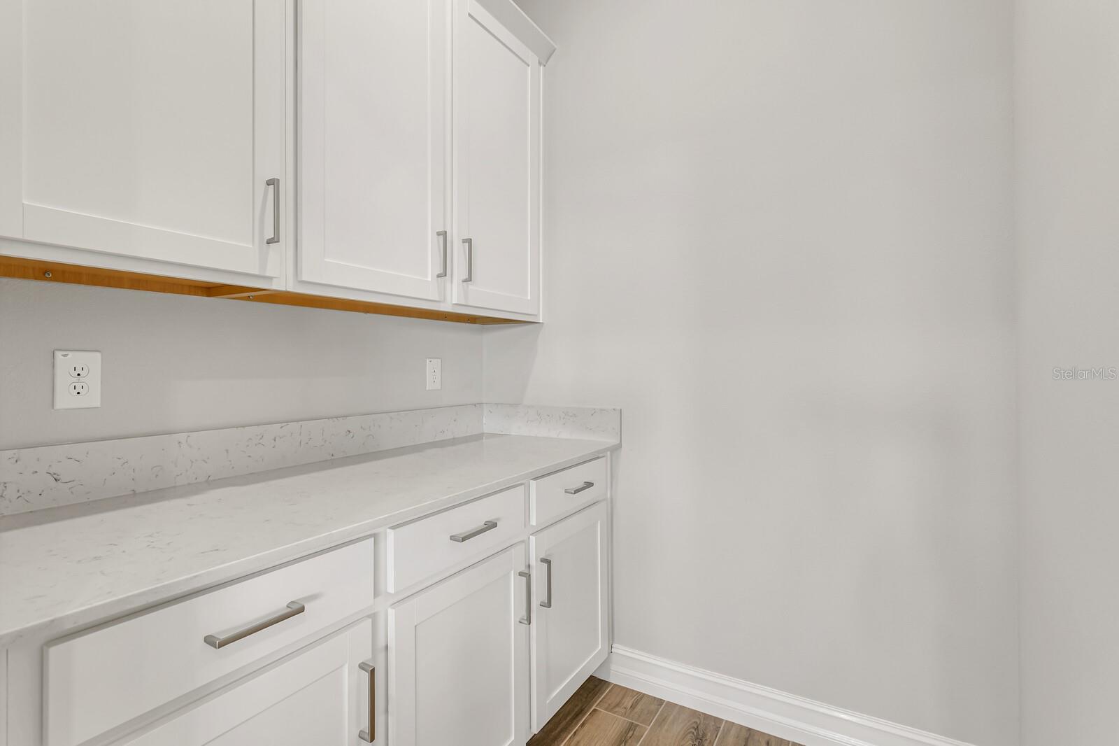 21518 SNOWY ORCHID TER, LAND O LAKES, FL, 34637