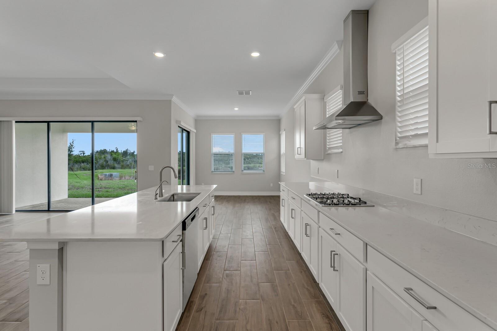 21518 SNOWY ORCHID TER, LAND O LAKES, FL, 34637