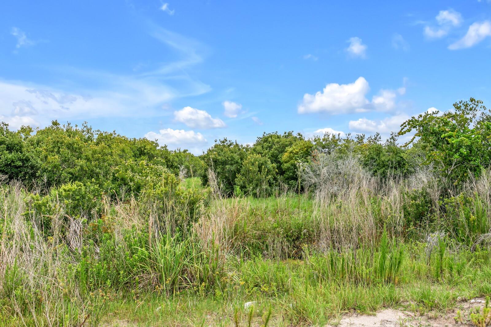 21518 SNOWY ORCHID TER, LAND O LAKES, FL, 34637