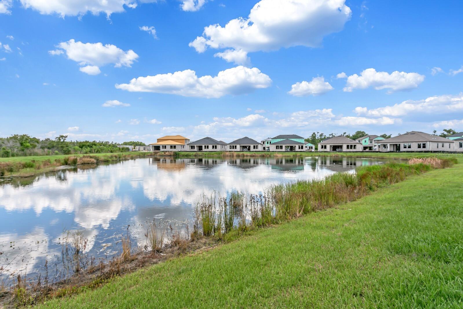 21518 SNOWY ORCHID TER, LAND O LAKES, FL, 34637