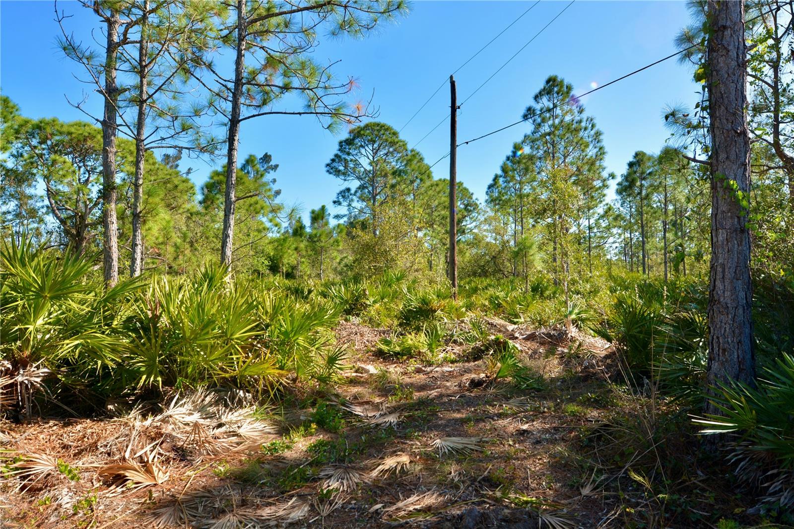 28005 PENDERGRASS AVE, PUNTA GORDA, FL, 33955