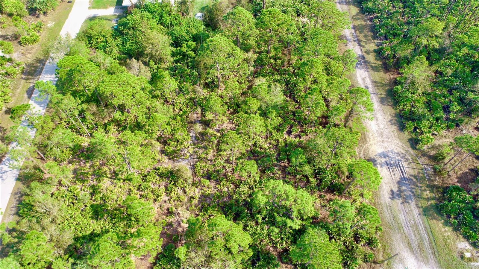 28005 PENDERGRASS AVE, PUNTA GORDA, FL, 33955