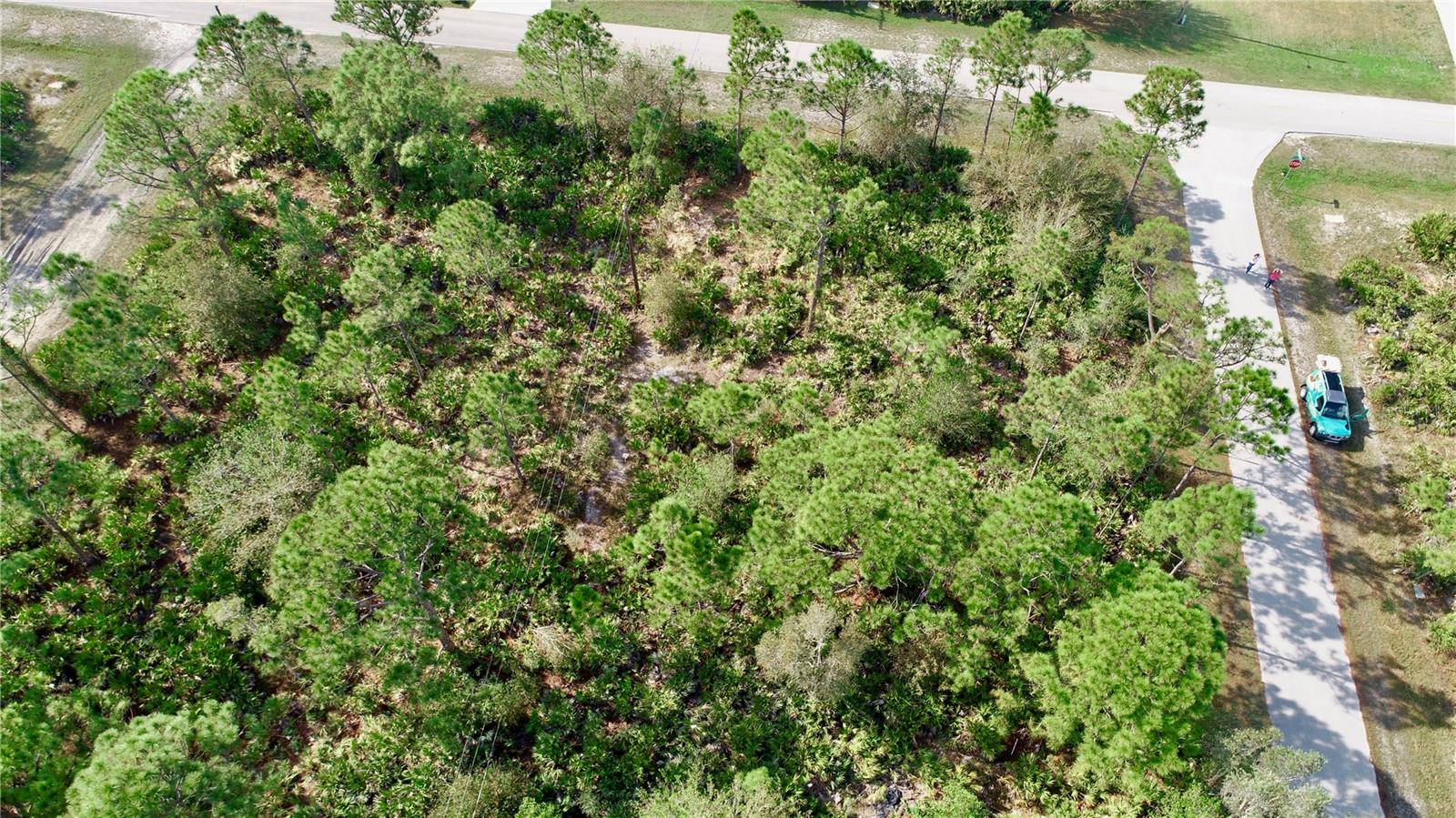 28005 PENDERGRASS AVE, PUNTA GORDA, FL, 33955