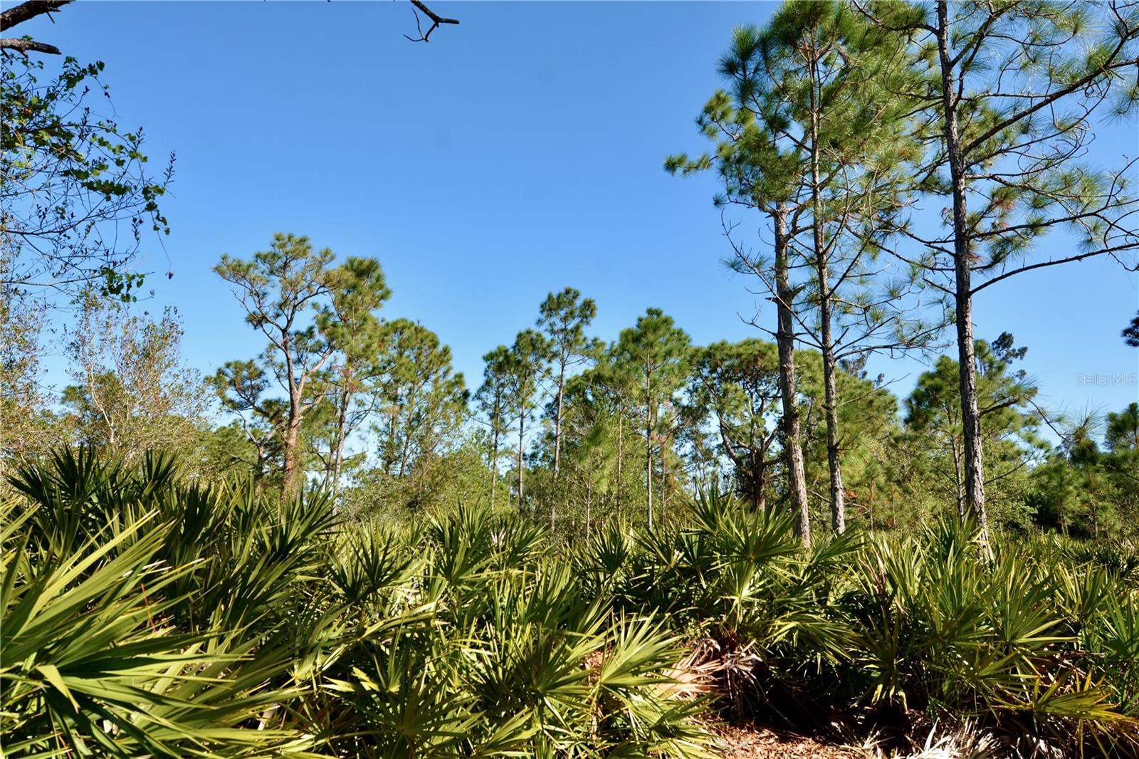 28005 PENDERGRASS AVE, PUNTA GORDA, FL, 33955