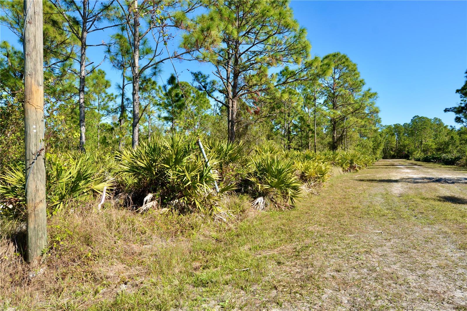 28005 PENDERGRASS AVE, PUNTA GORDA, FL, 33955