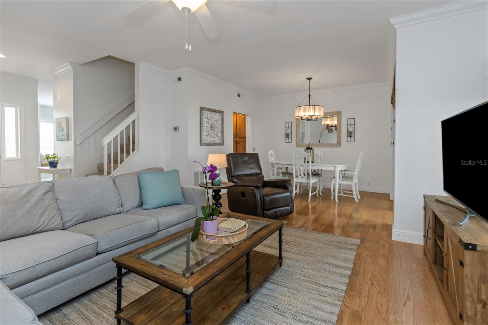 1843 LAKE CYPRESS DR, SAFETY HARBOR, FL, 34695