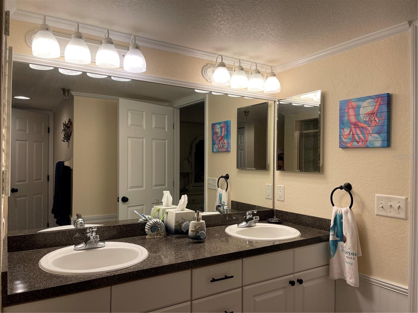21146 FOUNTAIN VIEW LN #4102, LUTZ, FL, 33558