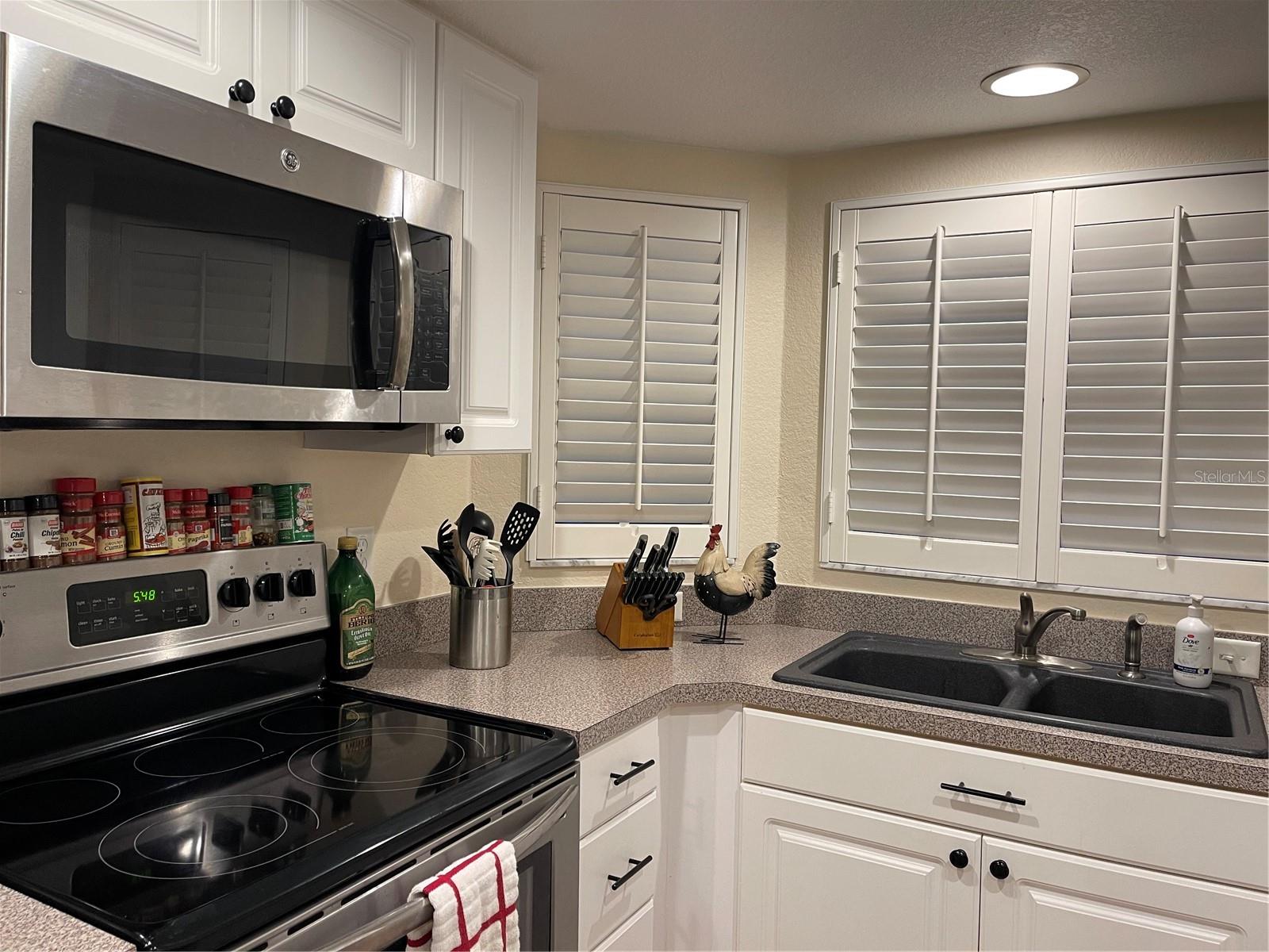 21146 FOUNTAIN VIEW LN #4102, LUTZ, FL, 33558