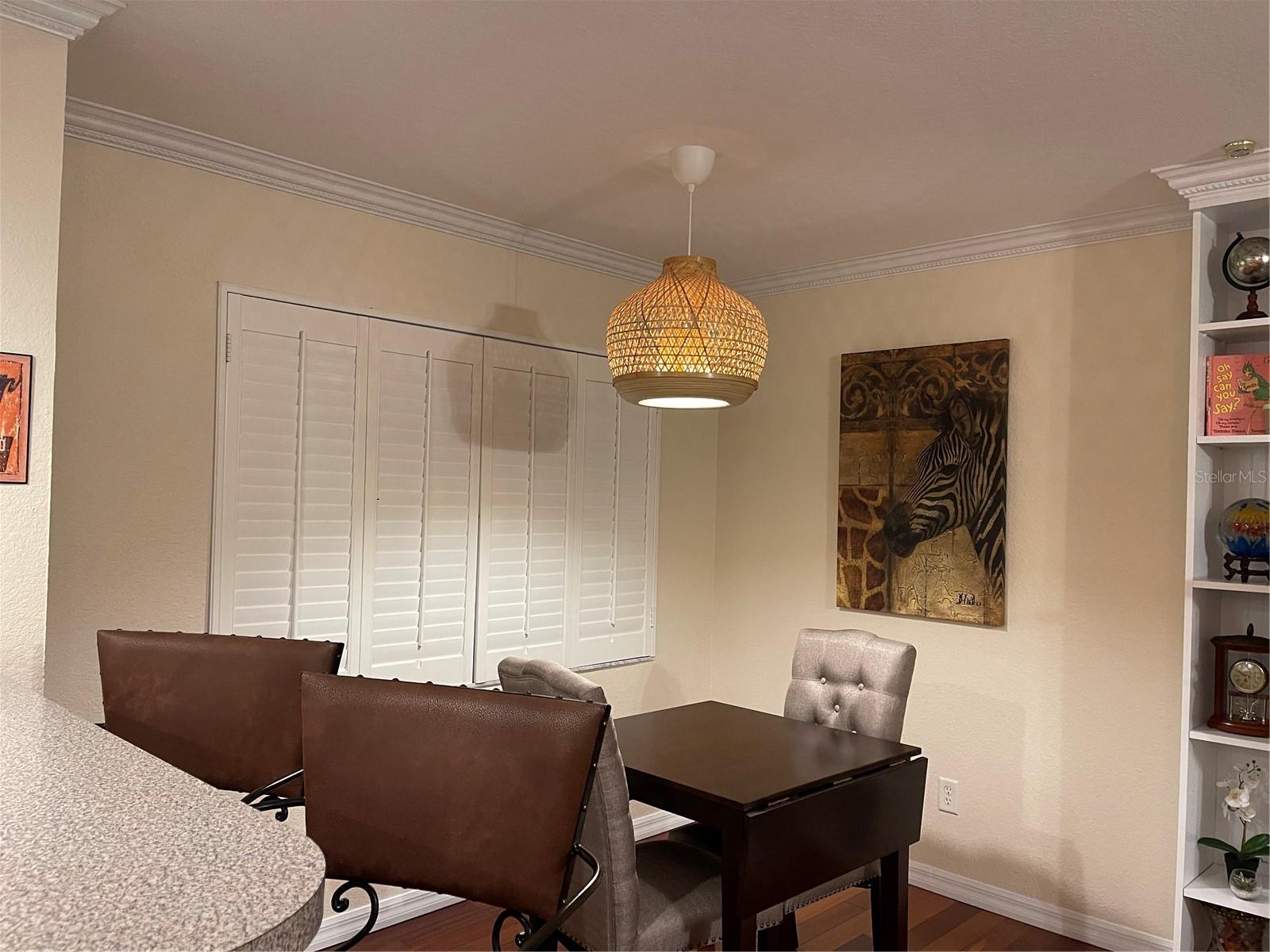 21146 FOUNTAIN VIEW LN #4102, LUTZ, FL, 33558