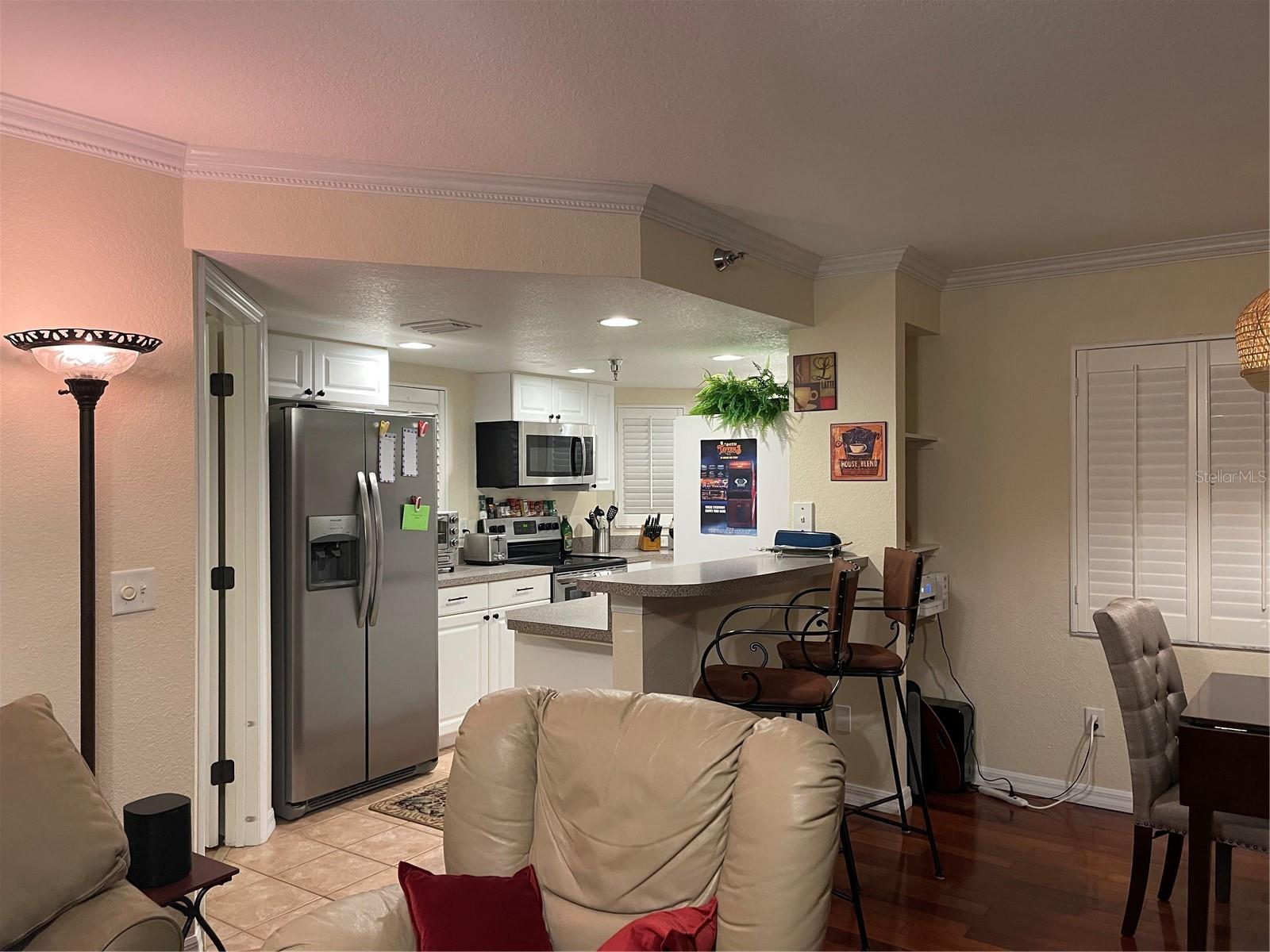 21146 FOUNTAIN VIEW LN #4102, LUTZ, FL, 33558