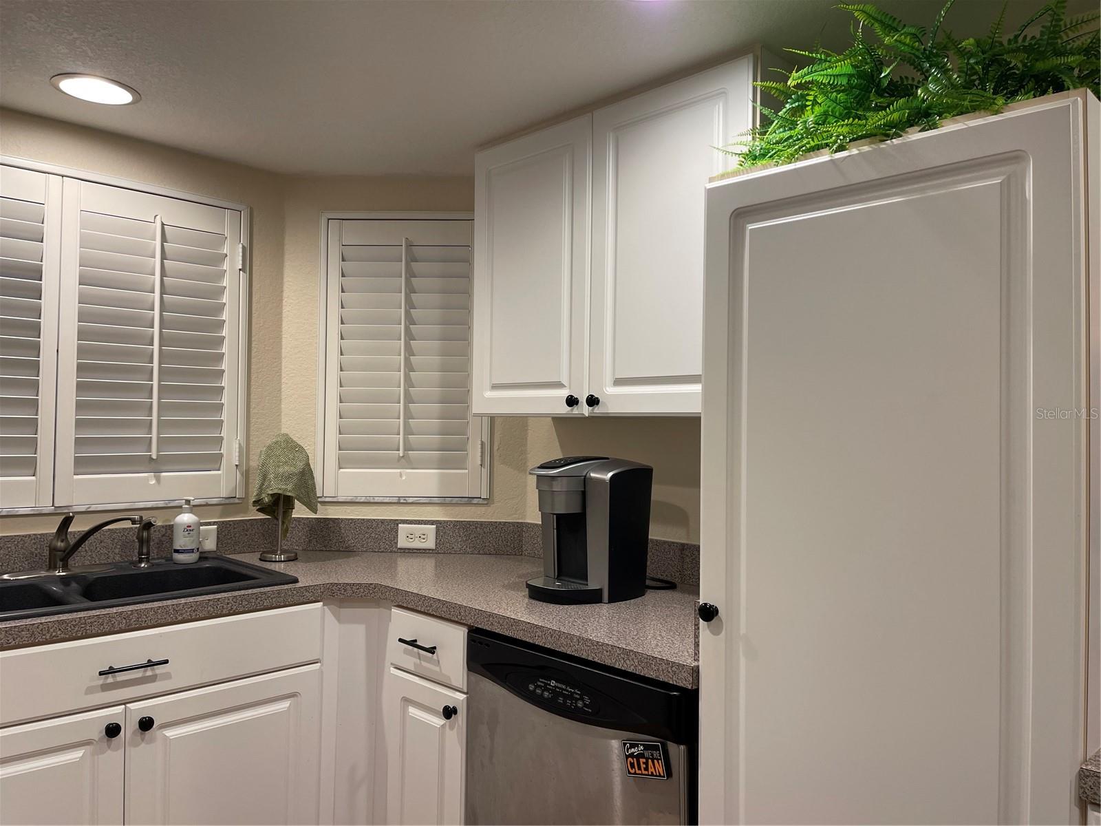21146 FOUNTAIN VIEW LN #4102, LUTZ, FL, 33558
