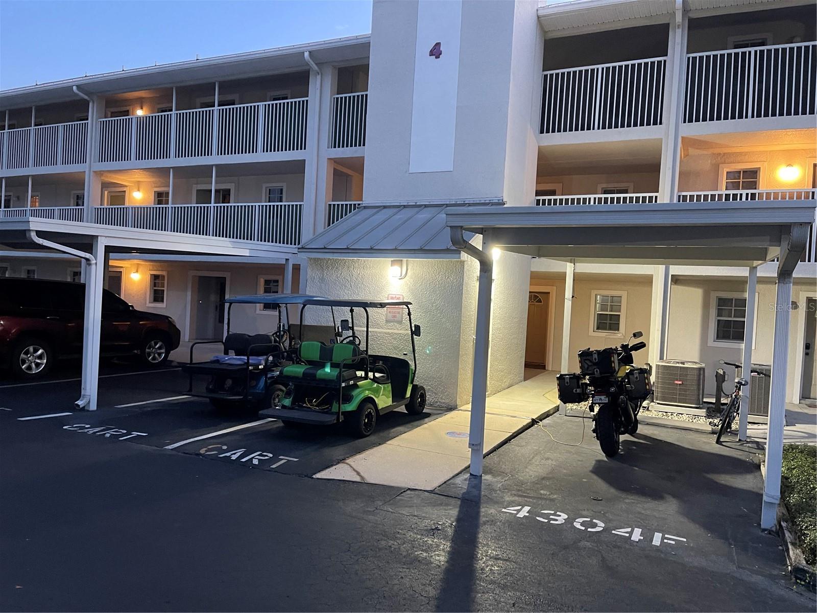 21146 FOUNTAIN VIEW LN #4102, LUTZ, FL, 33558