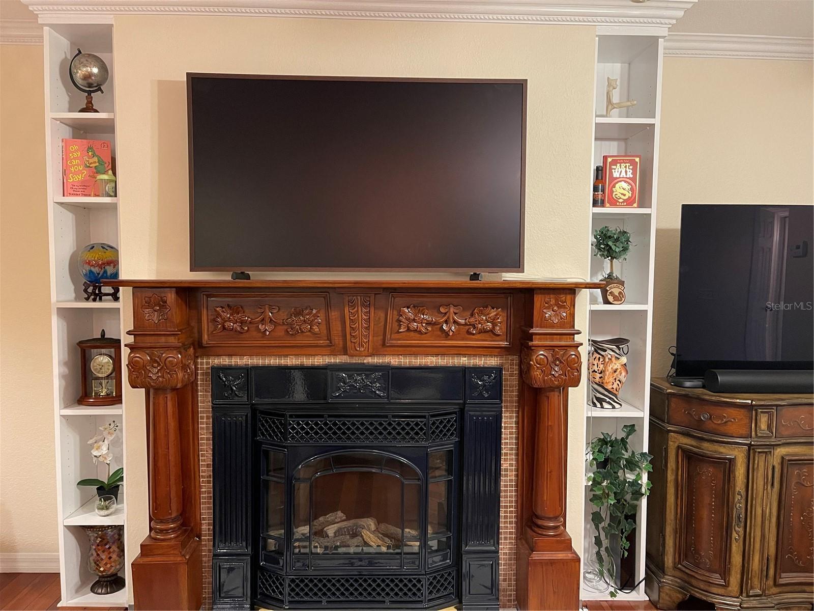 21146 FOUNTAIN VIEW LN #4102, LUTZ, FL, 33558