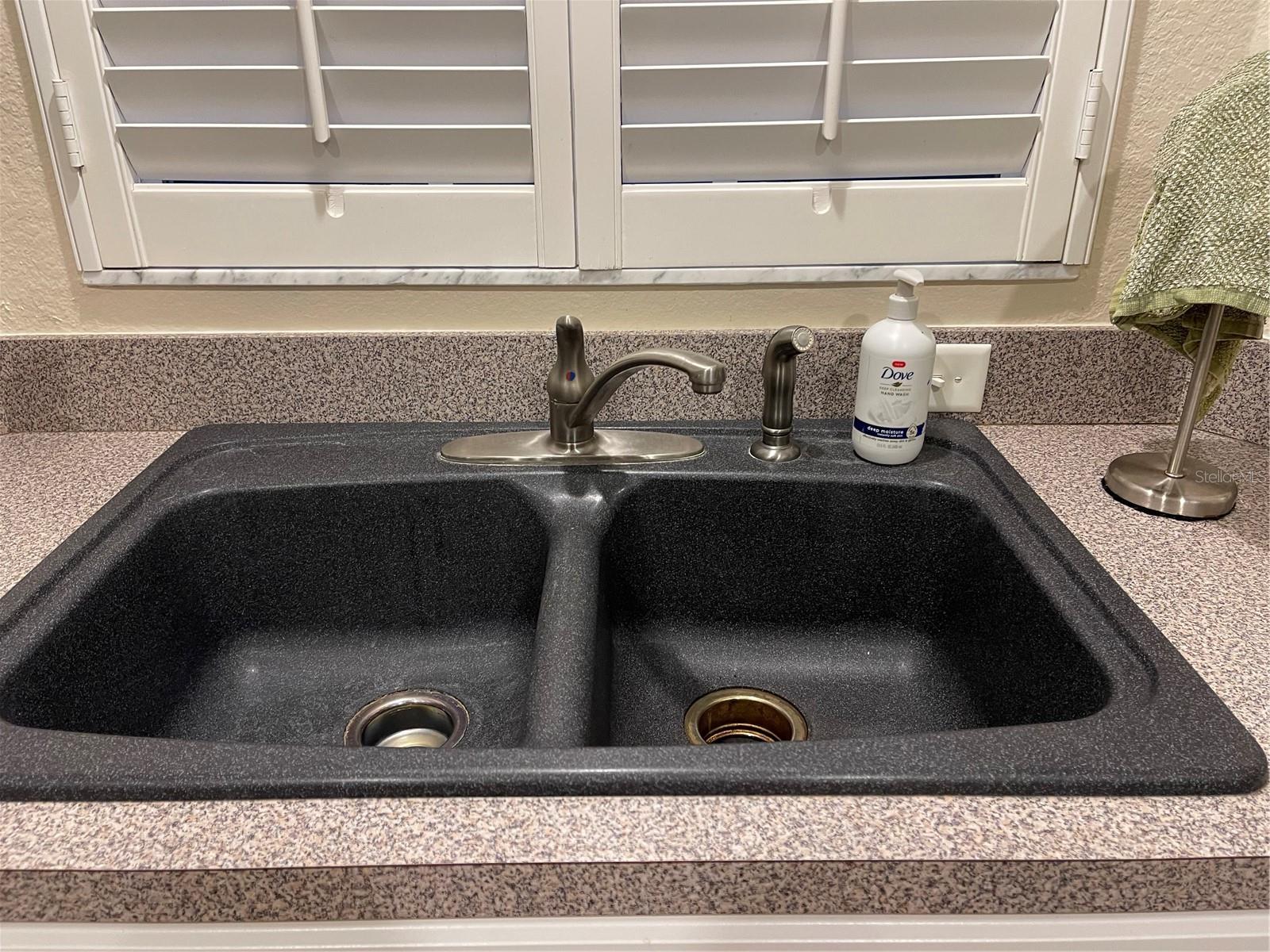 21146 FOUNTAIN VIEW LN #4102, LUTZ, FL, 33558