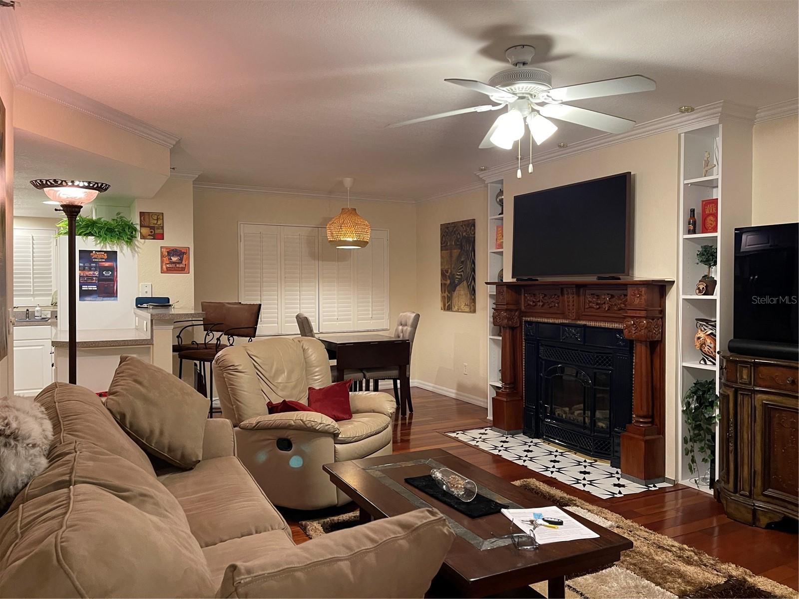 21146 FOUNTAIN VIEW LN #4102, LUTZ, FL, 33558