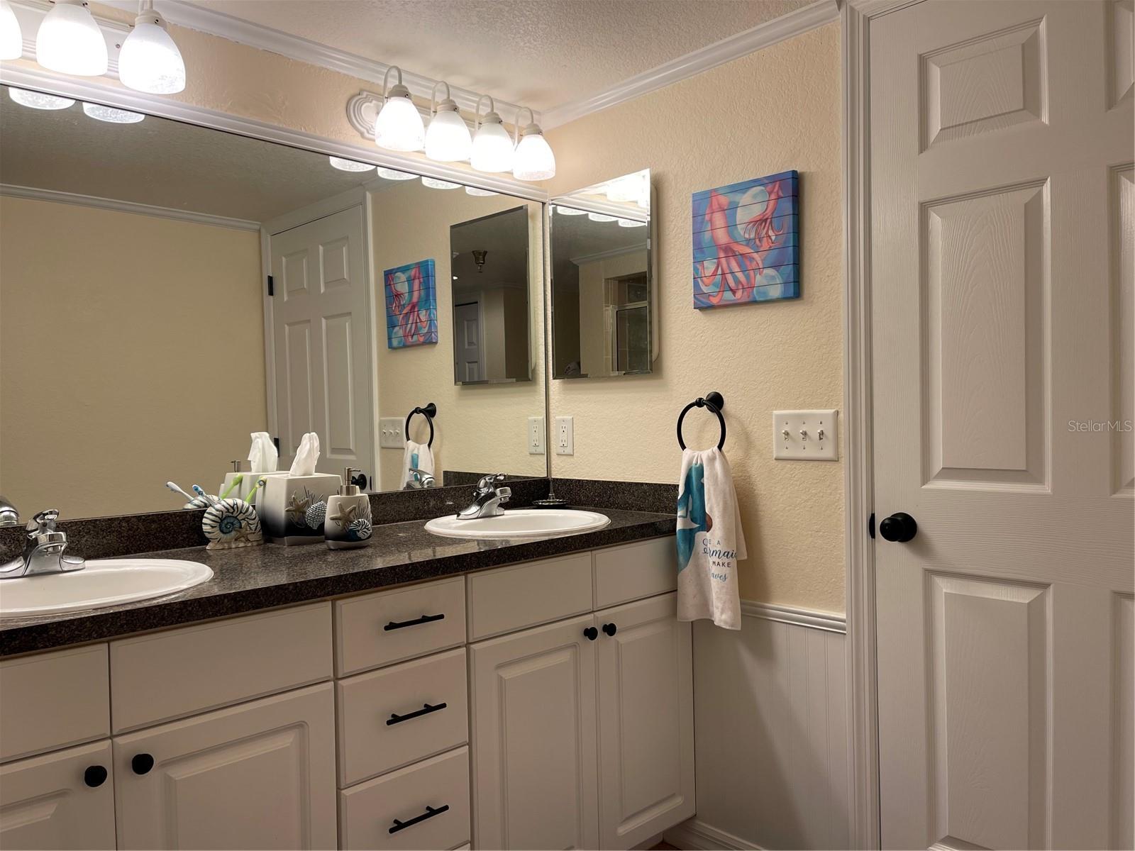 21146 FOUNTAIN VIEW LN #4102, LUTZ, FL, 33558
