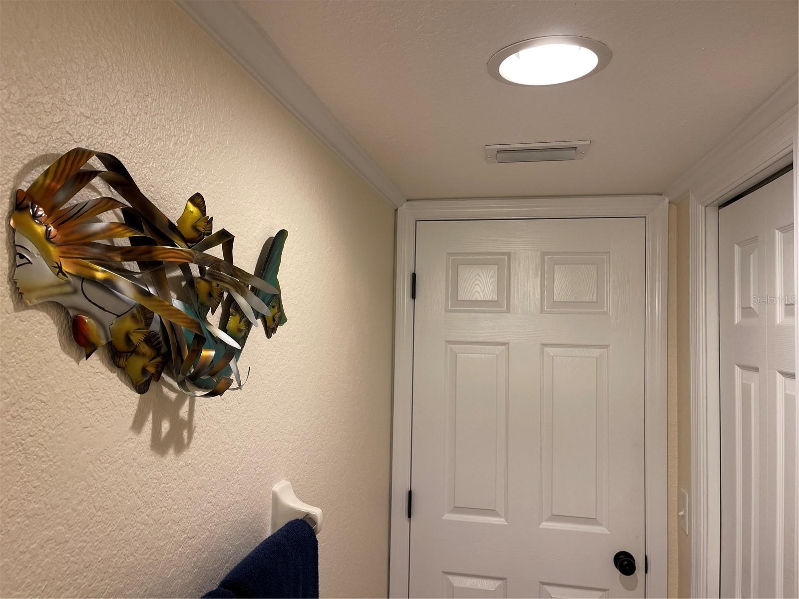 21146 FOUNTAIN VIEW LN #4102, LUTZ, FL, 33558
