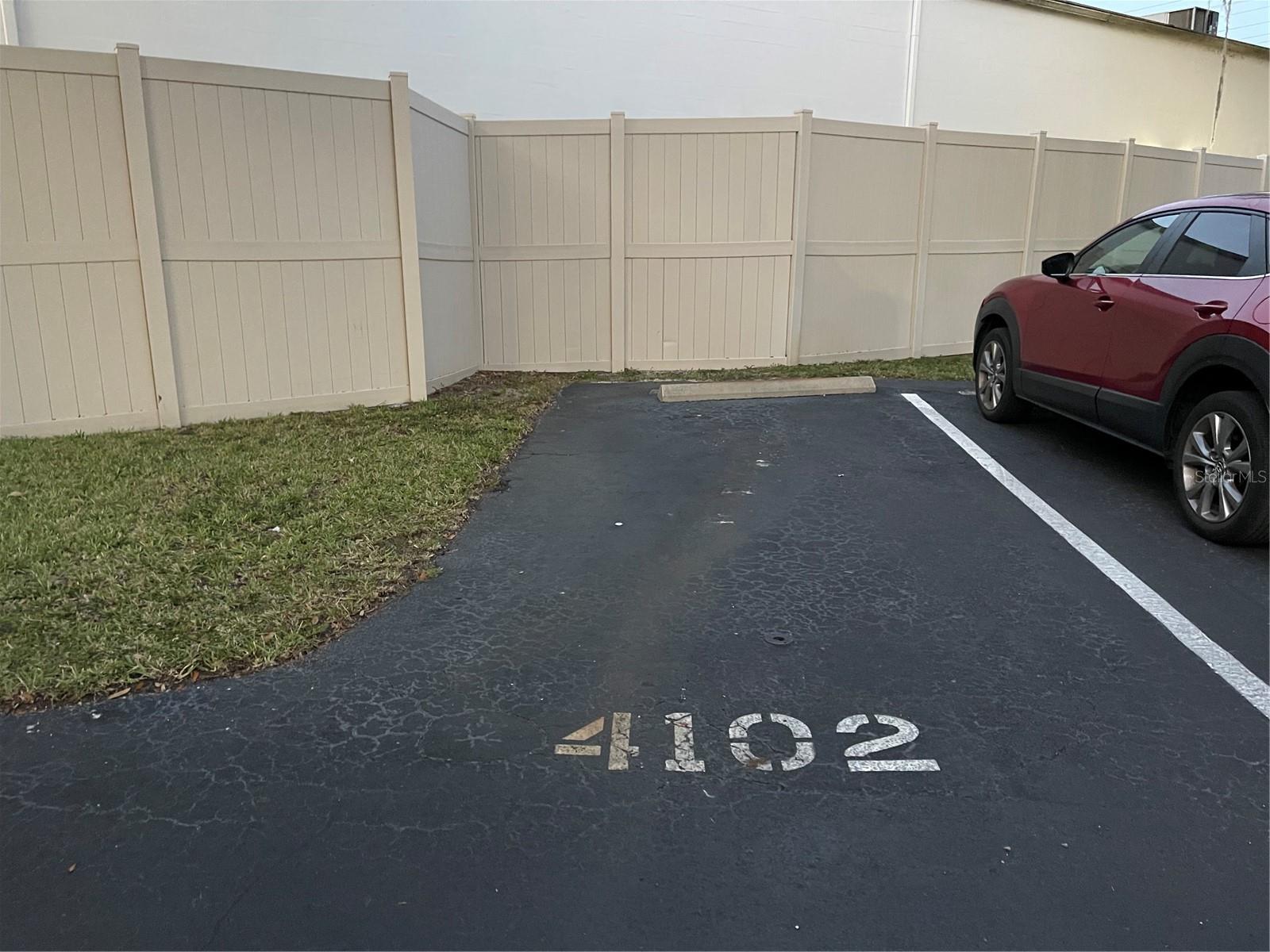 21146 FOUNTAIN VIEW LN #4102, LUTZ, FL, 33558