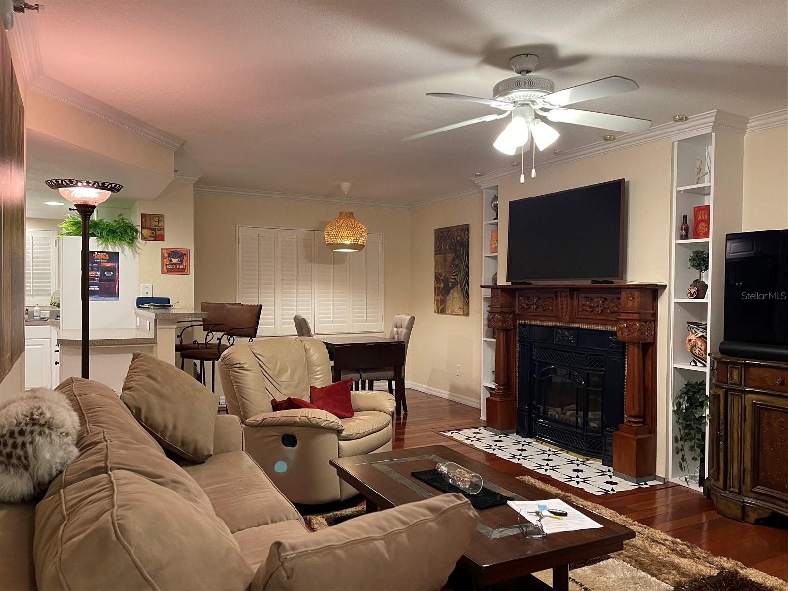 21146 FOUNTAIN VIEW LN #4102, LUTZ, FL, 33558