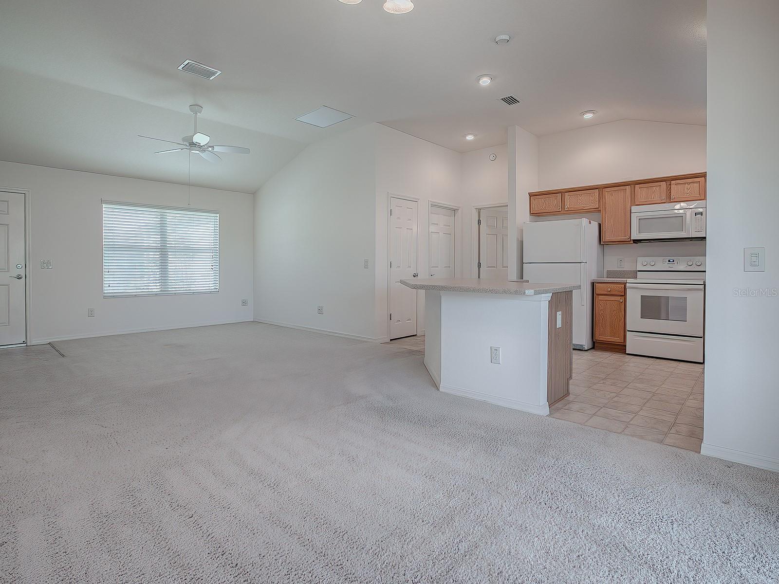 647 BRADFORD LOOP, THE VILLAGES, FL, 32163