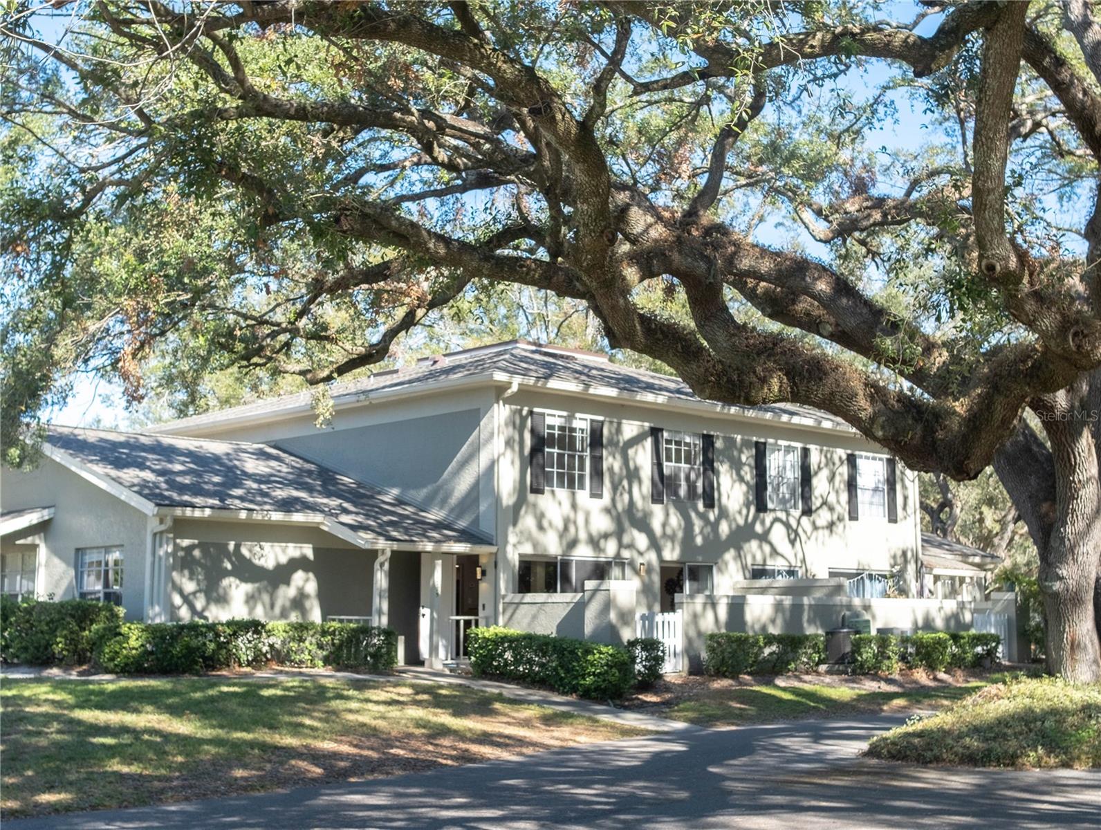 11775 RAINTREE DR, TAMPA, FL, 33617