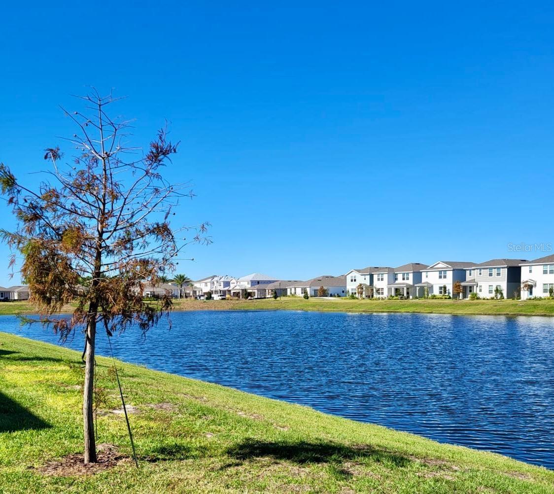 6095 WOODED BRUSH ALY, SAINT CLOUD, FL, 34771