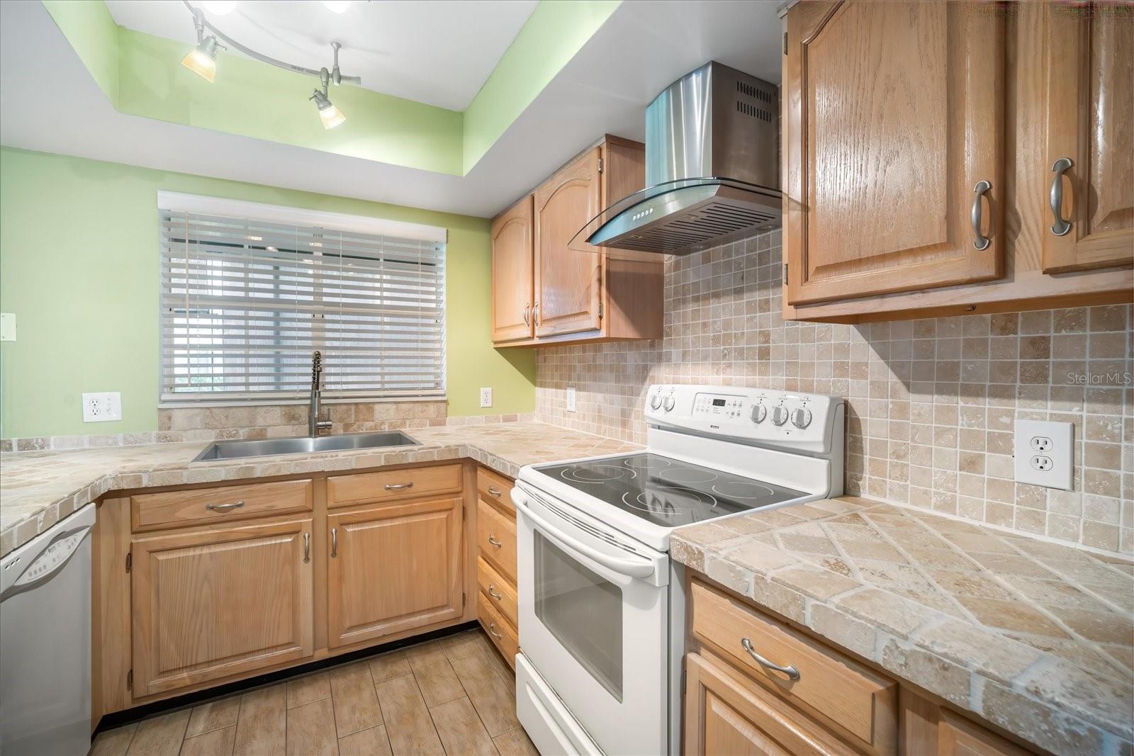3610 PINE KNOT DR, VALRICO, FL, 33596