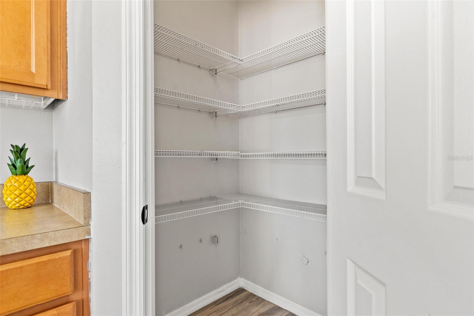 8874 CHRISTIE DR, LARGO, FL, 33771