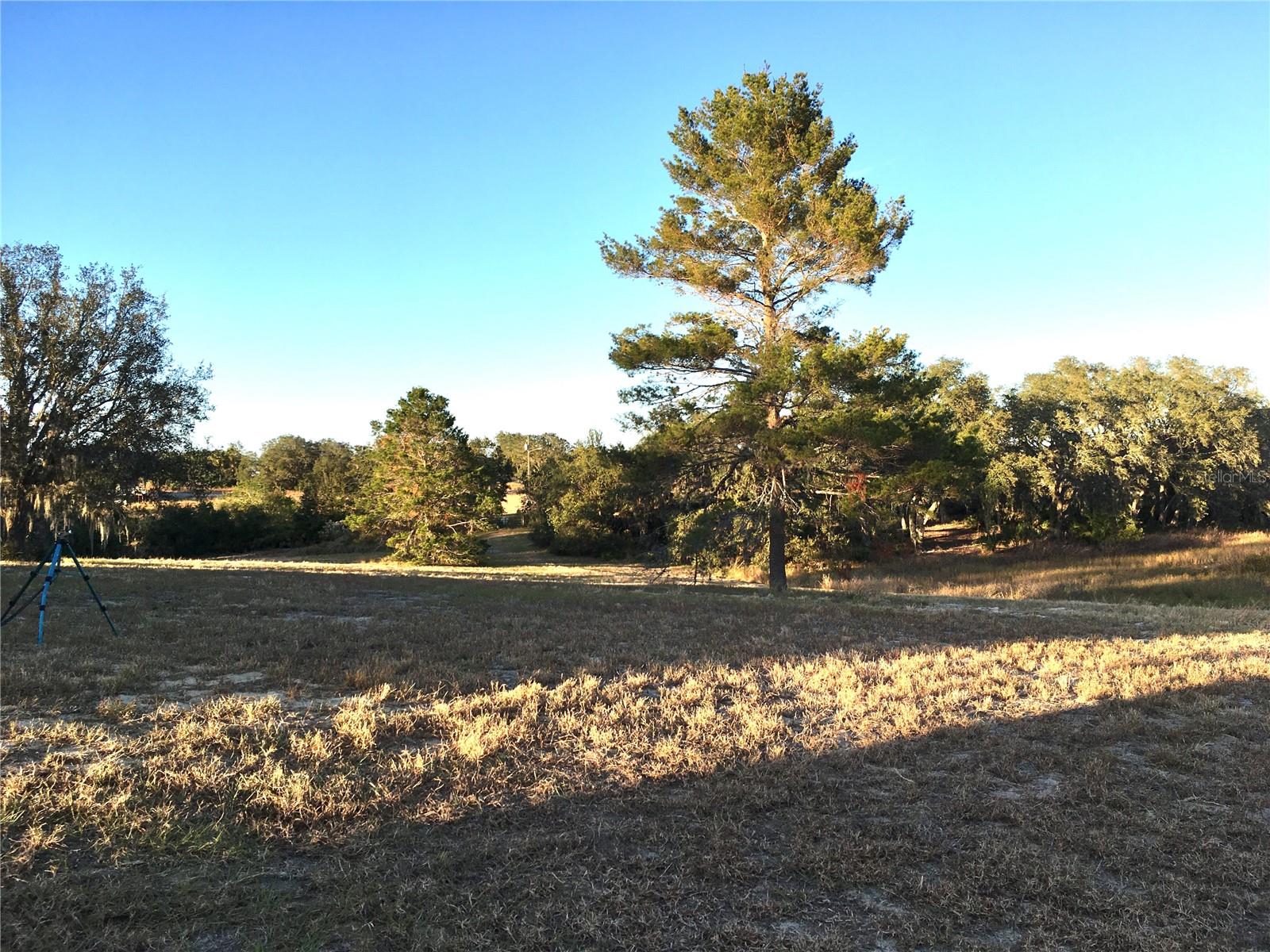 573 DICKS RD, BABSON PARK, FL, 33827