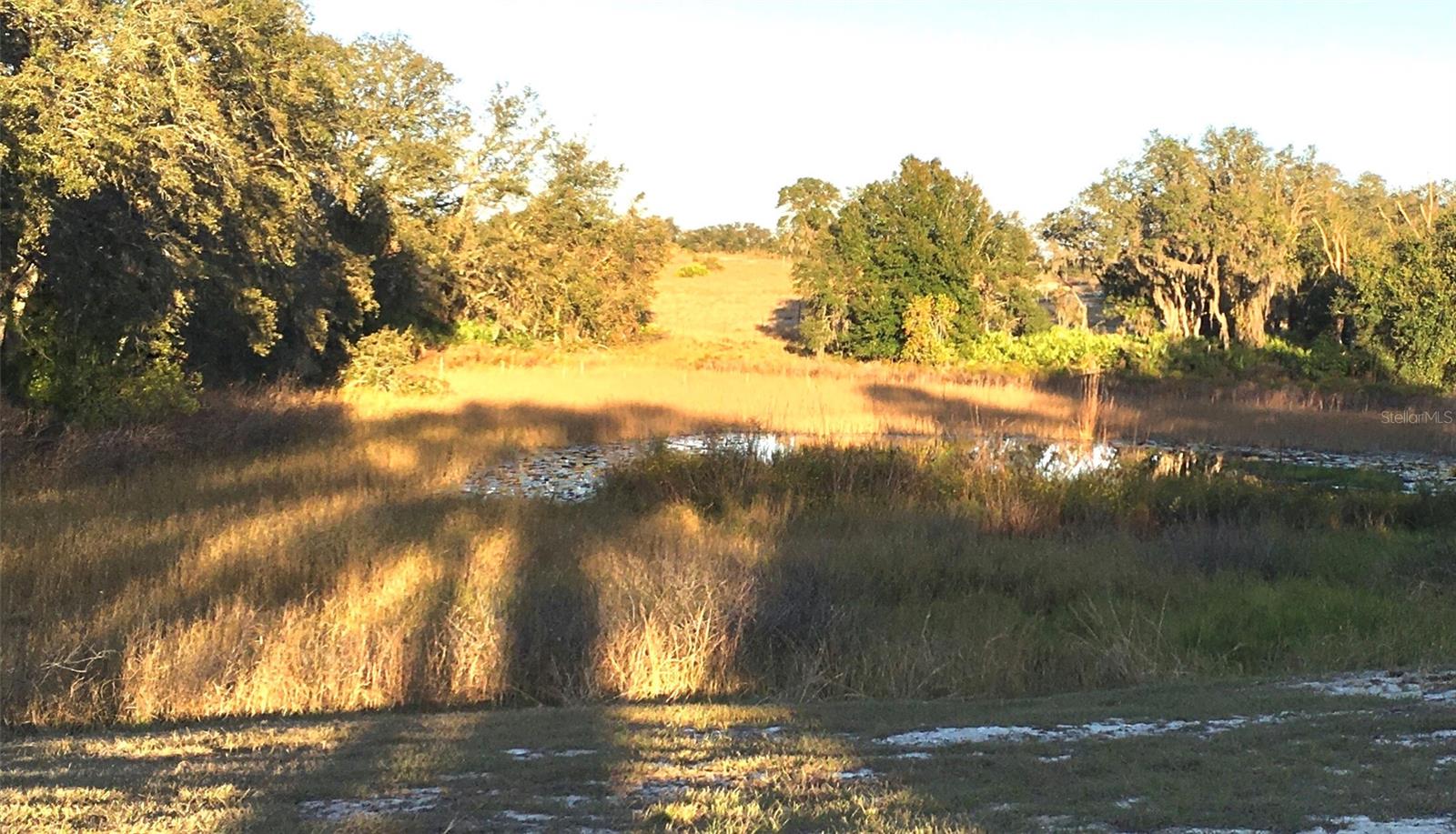 573 DICKS RD, BABSON PARK, FL, 33827