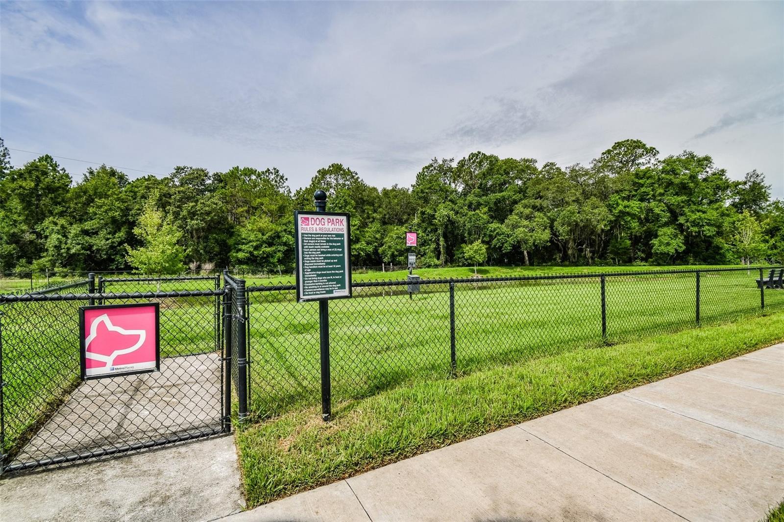 35942 SADDLE PALM WAY, ZEPHYRHILLS, FL, 33541