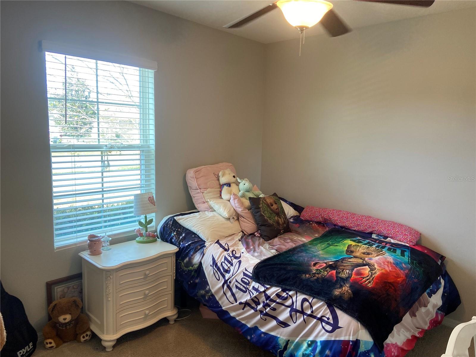 9785 PEPPER TREE TRL, WILDWOOD, FL, 34785