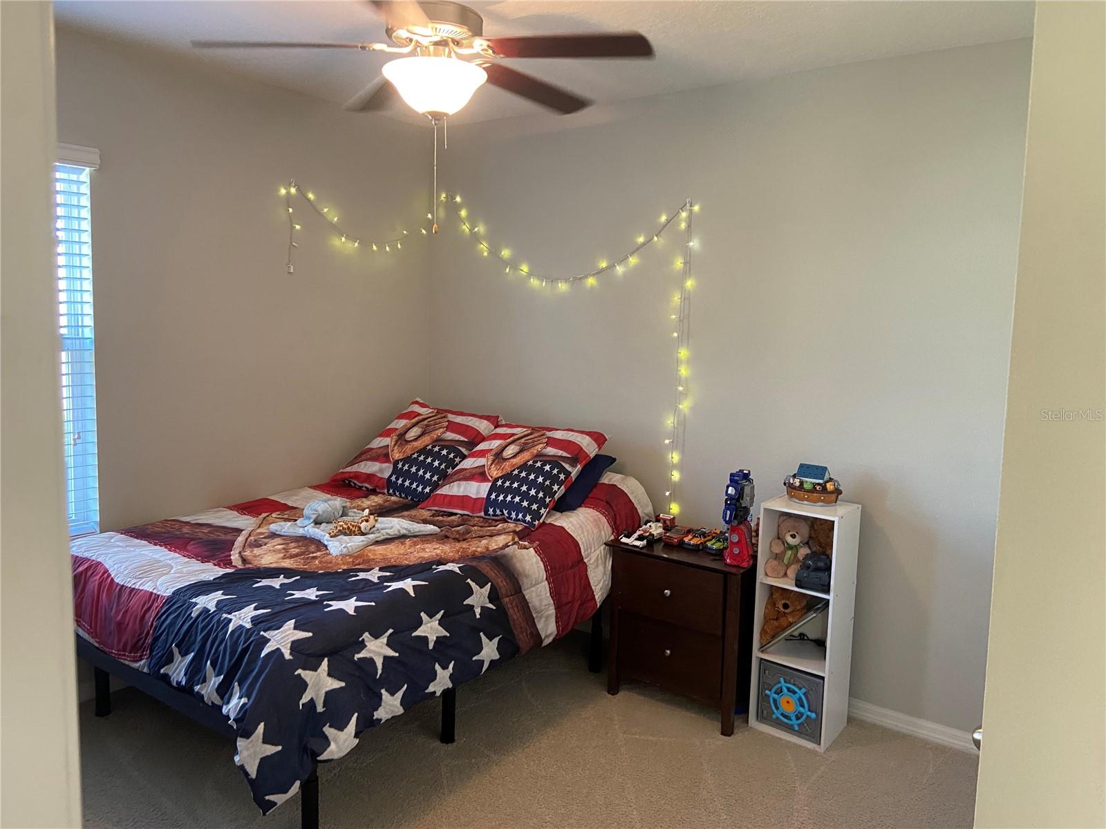 9785 PEPPER TREE TRL, WILDWOOD, FL, 34785
