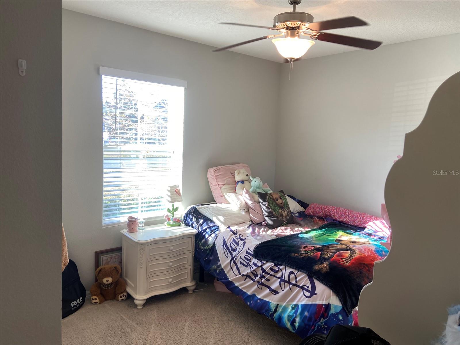 9785 PEPPER TREE TRL, WILDWOOD, FL, 34785
