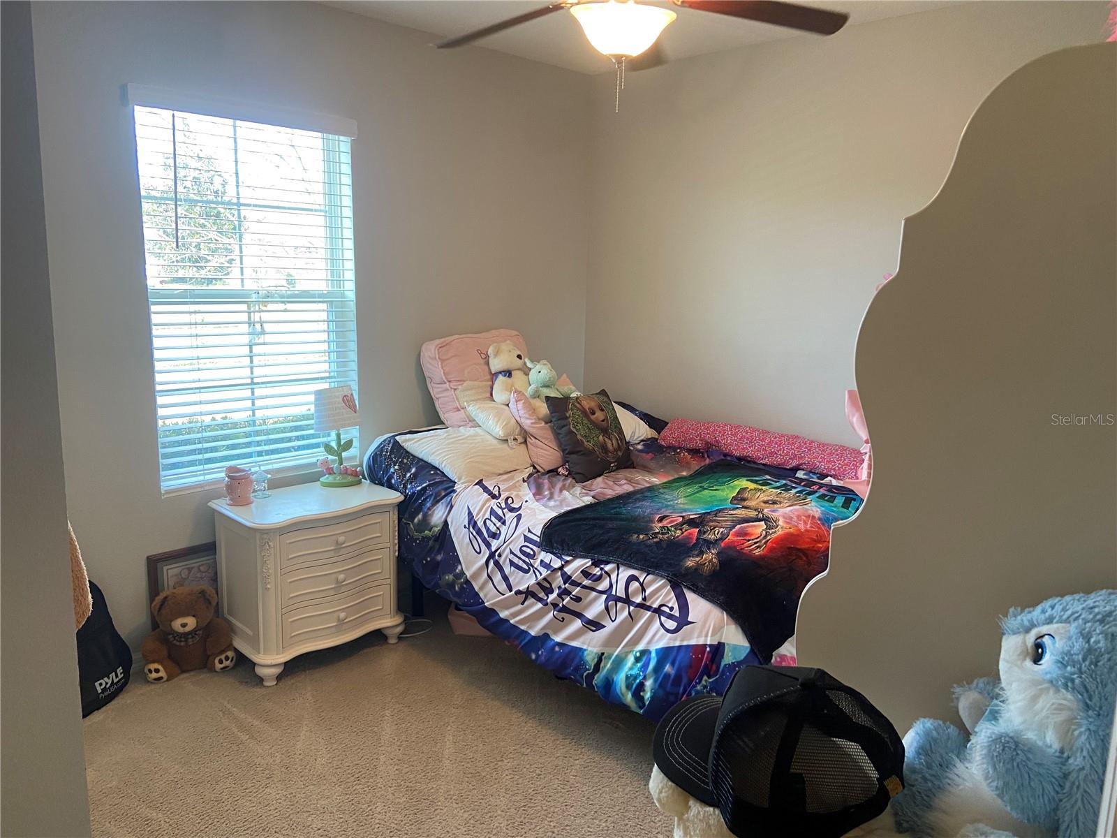 9785 PEPPER TREE TRL, WILDWOOD, FL, 34785