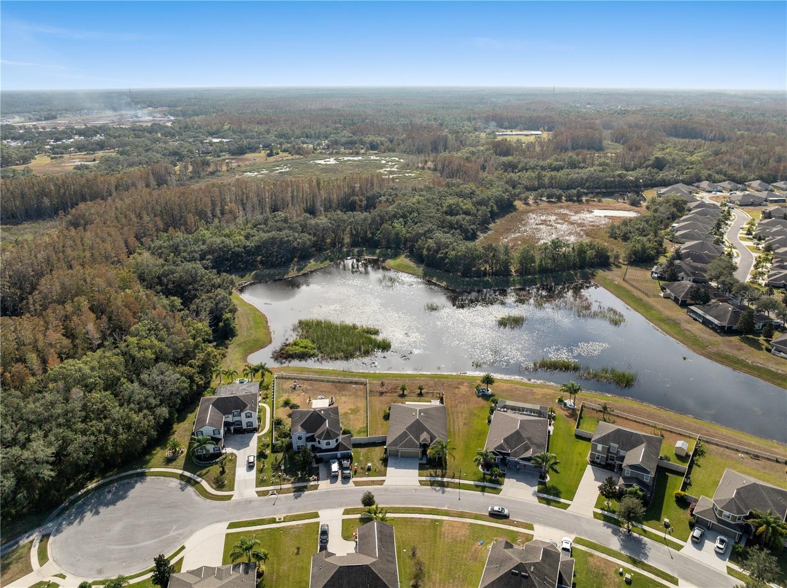 13557 BEE TREE CT, HUDSON, FL, 34669