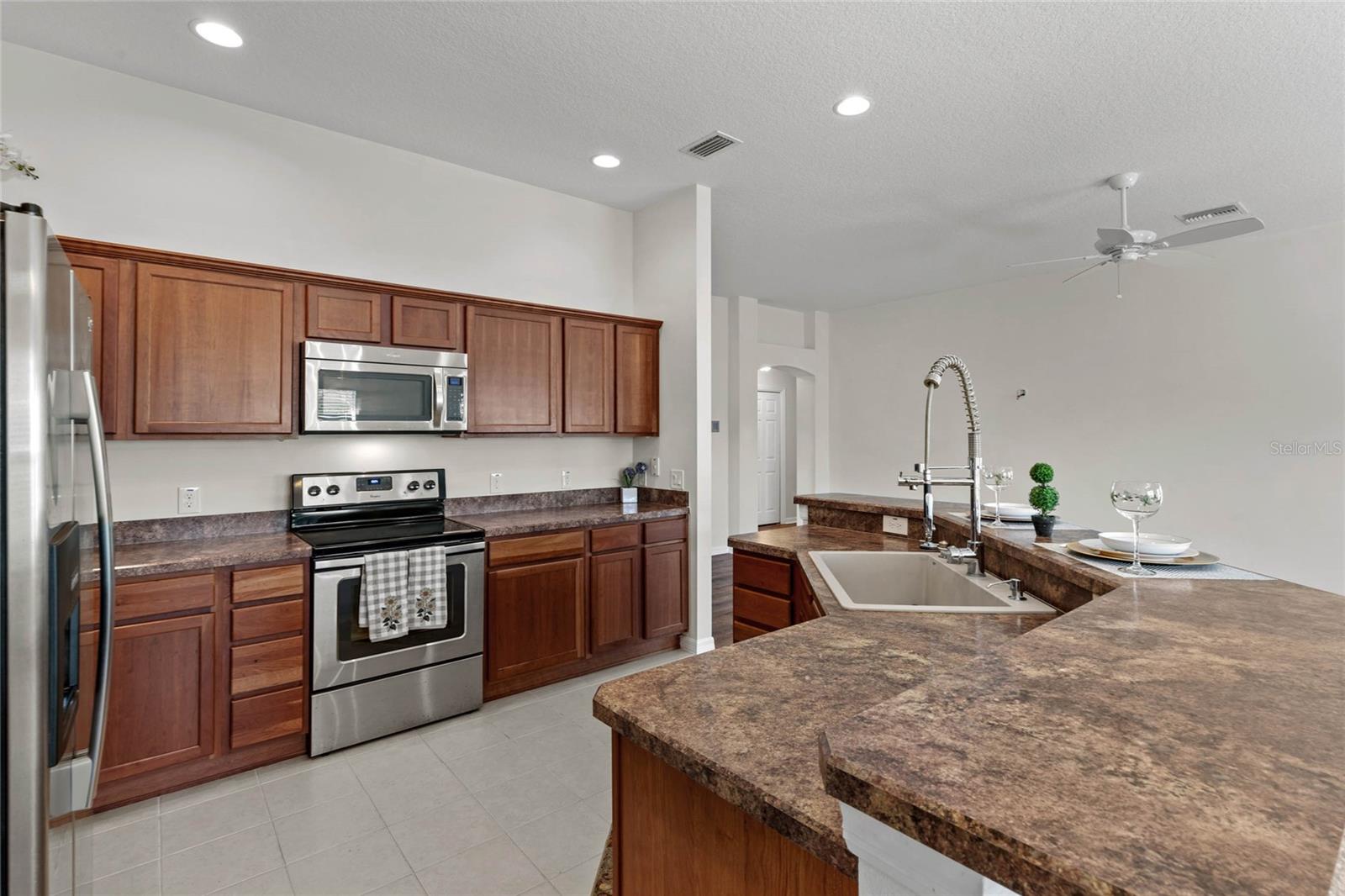 719 RICHFIELD ST, THE VILLAGES, FL, 32163